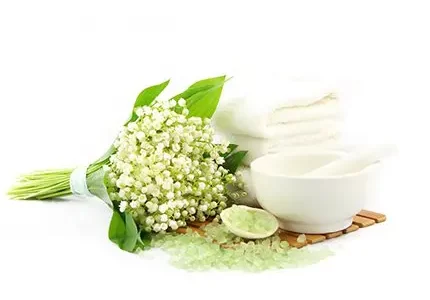 cosmetics-infobox-2.jpg